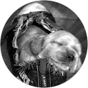 Marieke Schepers profielfoto