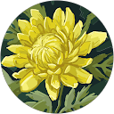 Netta Anakotta profielfoto